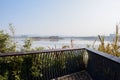 Planked and fenced platform in lakeside plants on sunny day