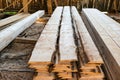 Planks in the timber factory Royalty Free Stock Photo