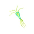 Plankton with a bright green edge on the body. Vector illustration on white background.
