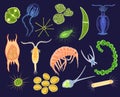 Plankton vector aquatic phytoplankton and planktonic microorganism under microscope in ocean illustration set of micro