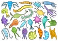 Plankton vector color set icon. Isolated color set icon phytoplankton.Vector illustration plankton on white background