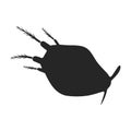 Plankton vector icon.Black vector icon isolated on white background plankton