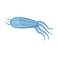 Plankton vector icon.Cartoon vector icon isolated on white background plankton.