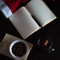 Planning future on Christmas: a notebook with blank pages, a black pen, Santa hat, glass mug with teabag, white bowl of chocolate