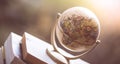 Planning the next journey: Miniature globe on a stack of books