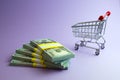 Planning Your Food Shopping financial saving