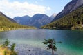 Plansee lake in the Alps mountain