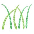 Plants icon, Rice symbol, leafs