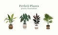 Perfect Plant vector illustration in flat unique design