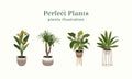 Perfect Plant vector illustration in flat unique design