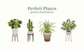 Perfect Plant vector illustration in flat unique design