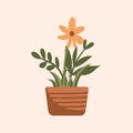 Plant abstract aesthetic with pot, vase, Urban plant, pottery plant, boho style plant color vector plants illustration Royalty Free Stock Photo