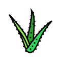 plant aloe vera color icon vector illustration Royalty Free Stock Photo