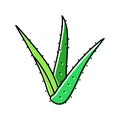 plant aloe vera color icon vector illustration Royalty Free Stock Photo