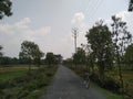 Plant and high extension wire of electricity on bank of roads in madhubani India