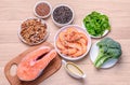 Plant-based and animal sources of Omega-3 acids Royalty Free Stock Photo