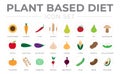 Plant Based Diet Color Icon Set of Sunflower, Potato, Chilli, Wheat, Pear, Tomato, Fig, Mushroom, Apple, Zucchini, Eggplant, Royalty Free Stock Photo