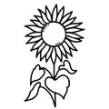 Plant. Beautiful blooming sunflower with leaves. Vector illustration. Hand drawn in doodle style. For design, decor and Royalty Free Stock Photo