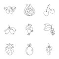Plant berries icon set, outline style