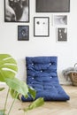 Plant and blue mattress on the floor in white bedroom interior with gallery of posters. Real photo