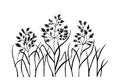 Plant Bluegrass Meadow. Vector stock illustration eps10.