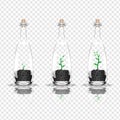 Plant in a bottle. Vector stock illustration.