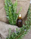 plant and bottle of Salvia rosmarinus oil from alternative natural organic farming with background in natural hemp cloth Royalty Free Stock Photo