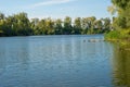 Plant bushes on the bank