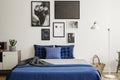 Plant on cabinet next to navy blue bed in bedroom interior with white lamp and gallery. Real photo Royalty Free Stock Photo