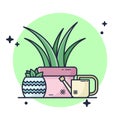 Plant Cactus Botanical with watering plants Premium Vector