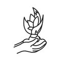 Plant care black line icon. Complex of care procedures for plant rotation. Pictogram for web page, mobile app, promo. UI UX GUI