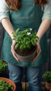 Plant care Woman holding green plant, flower pots, and gardening tools Royalty Free Stock Photo