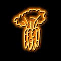 plant carrot neon glow icon illustration Royalty Free Stock Photo