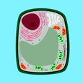 Various organels in plant cells