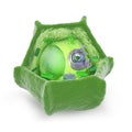 Plant cell cutaway illustration Royalty Free Stock Photo