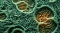 Plant cell eukaryotes background wallpaper for PowerPoint and presentations ai generated