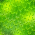 Plant cell green background Royalty Free Stock Photo