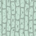 Plant cell pattern Royalty Free Stock Photo