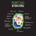 Plant cell structure. Hand drawn infographic poster. Vector. Royalty Free Stock Photo