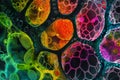 Plant cells under the microscope offer a stunning visual of their biological makeup