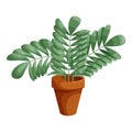 Plant in ceramic pot icon, cartoon style Royalty Free Stock Photo