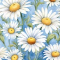 Plant chamomile pattern background floral flower seamless daisy white nature wallpaper Royalty Free Stock Photo