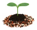 Plant in chemical fertilizer Royalty Free Stock Photo