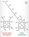 Plant Chlorophyll and human blood Hemoglobin Heme B, haem B molecule. Skeletal chemical formula