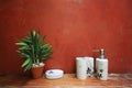 Plant in clay pot with shampoo, soap and Shower Cream bottle on Wooden cabinet near orange wall decoration in bathroom vintage Royalty Free Stock Photo