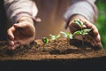 Plant Coffee seedlings in nature Close-Up Of Fresh Green Plant Royalty Free Stock Photo