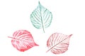 Plant colored leaves hand-drawn with crayons.