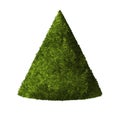 Green Forrest tree background. 3D Illustration.