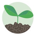 A plant with cotyledon leaves and soil as a farm and gardening concept, a flat vector stock illustration with single objects