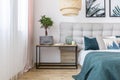 Plant in cozy bedroom interior Royalty Free Stock Photo
